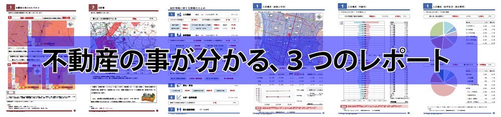 調査レポート